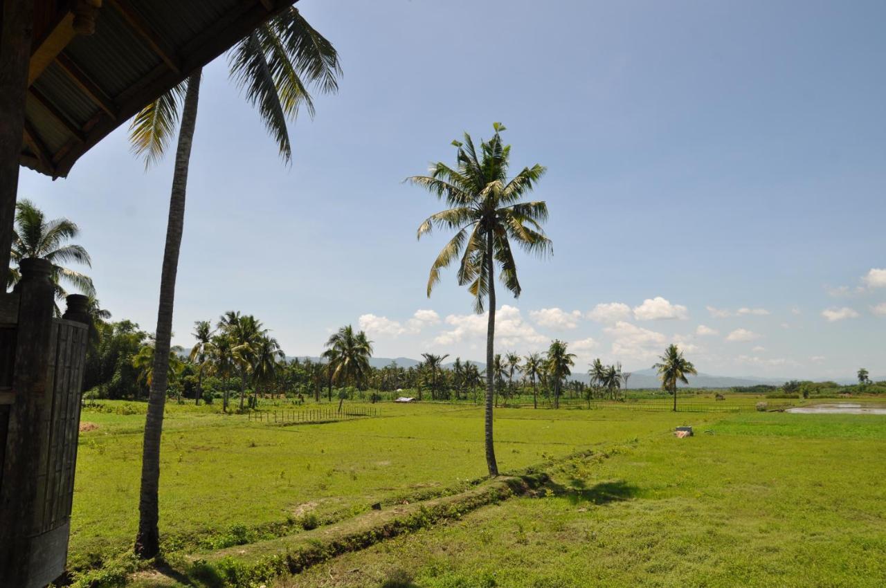 Sunset Homestay By Harry & Mimin Telaga Exterior foto