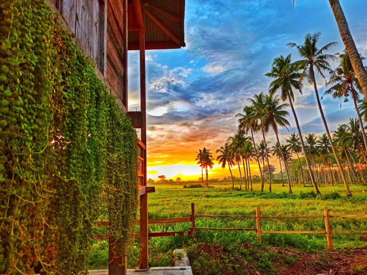 Sunset Homestay By Harry & Mimin Telaga Exterior foto